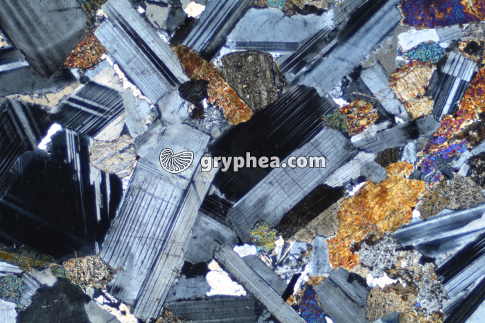 Gabbro LPA x6,3 - gryphea.org